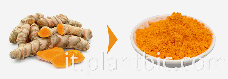 Natural Turmeric extract 95 curcumin powder